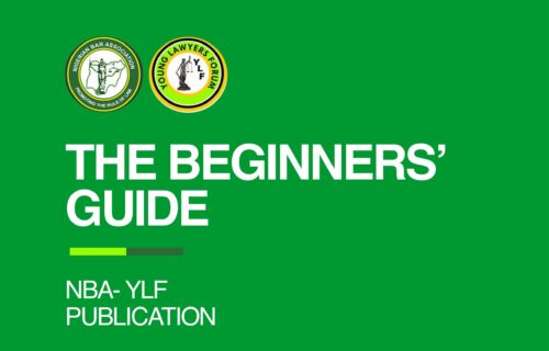 The Beginners Guide