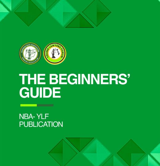 The Beginners Guide