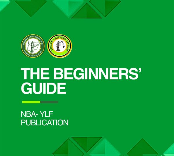 The Beginners Guide