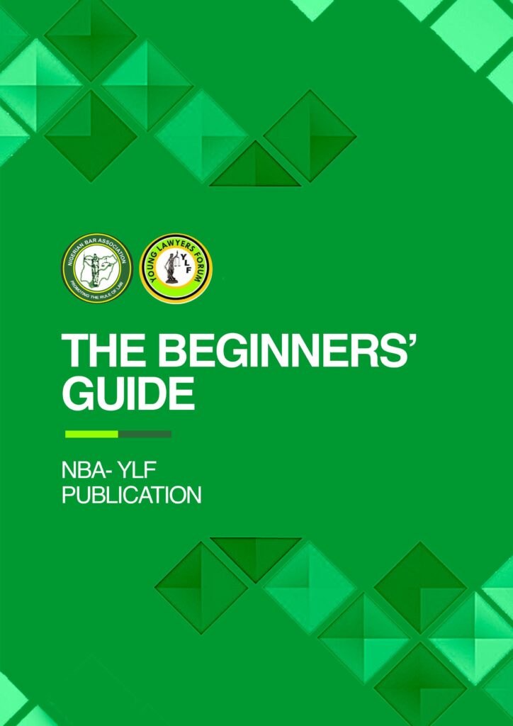 The Beginners Guide
